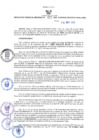 Vista preliminar de documento RES N°472-2022-GRDS