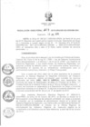 Vista preliminar de documento RD_521_2015.pdf