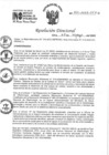 Vista preliminar de documento RD 060-2022-INO-D