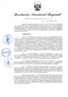 Vista preliminar de documento RDR N° 983-2022