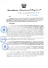 Vista preliminar de documento RDR N° 985-2022