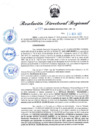 Vista preliminar de documento RDR N° 987-2022