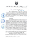 Vista preliminar de documento RDR N° 990-2022