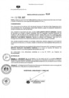 Vista preliminar de documento R.A.  040  15.02.2017.pdf