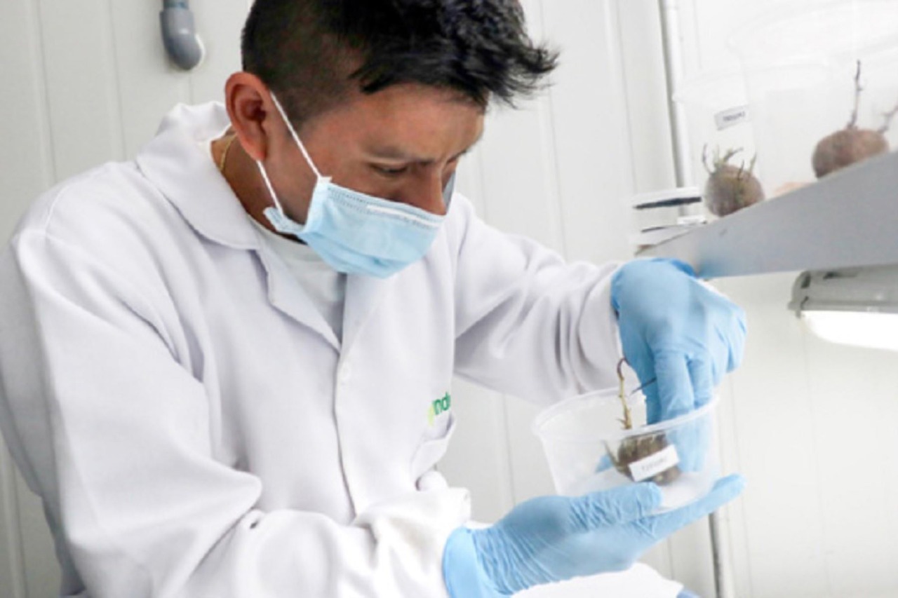 Imagen de investigador