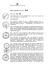 Vista preliminar de documento R.A.  013  06.01.2017.pdf