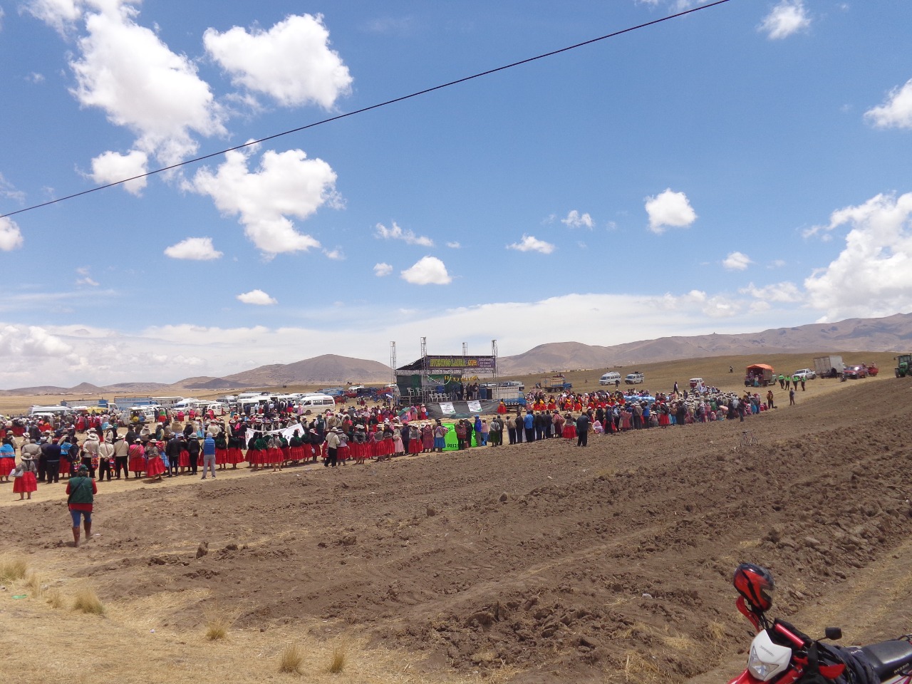 Puno pastos.