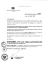 Vista preliminar de documento R.A.  007  02.01.2017.pdf