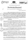 Vista preliminar de documento Resolución Directoral N°533-2022-GRU-DIRESA-DG-DIREMID/DACyVS