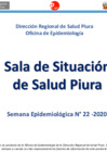 Vista preliminar de documento Semana Epidemiológica N° 22-2020