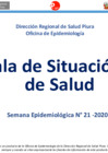 Vista preliminar de documento Semana Epidemiológica N° 21-2020