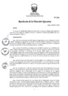 Vista preliminar de documento RDE 94-2022.pdf