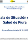 Vista preliminar de documento Semana Epidemiológica N° 01-2019