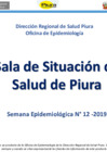 Vista preliminar de documento Semana Epidemiológica N° 12-2019