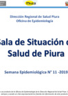 Vista preliminar de documento Semana Epidemiológica N° 11-2019