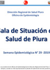 Vista preliminar de documento Semana Epidemiológica N° 29-2019