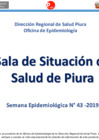 Vista preliminar de documento Semana Epidemiológica N° 43-2019