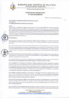 Vista preliminar de documento Ordenanza-020-2020.pdf