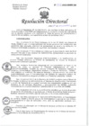 Vista preliminar de documento RESOLUCIÓN DIRECTORAL N 304-2022-DGHNHU.pdf