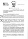 Vista preliminar de documento RD 207-2022-INO-D