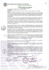 Vista preliminar de documento Acuerdo de Concejo N° 0195-2010-MDM