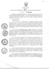 Vista preliminar de documento RD_287_2015.pdf