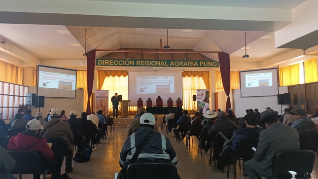 fórum de vicuña