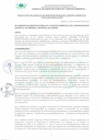 Vista preliminar de documento RGSPGA_273_2022_MDI.pdf