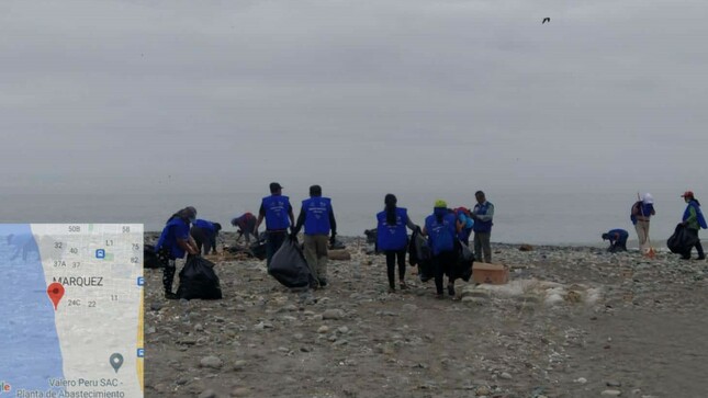 Toneladas de basura marina  se recoge en playa Márquez 