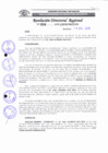 Vista preliminar de documento RDR 016-2019