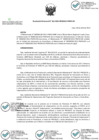 Vista preliminar de documento Resolucion_Directoral_0162-2022-DE.pdf