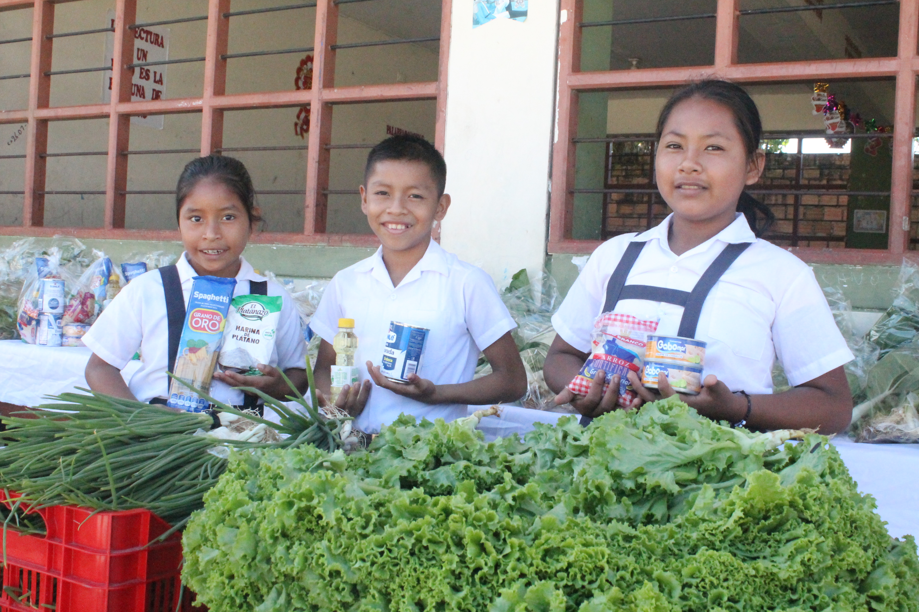 Alimentos frescos para consumo de escolares