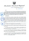 Vista preliminar de documento RDR N° 995-2022