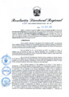 Vista preliminar de documento RDR N° 999-2022