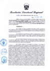 Vista preliminar de documento RDR N° 1001-2022