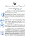 Vista preliminar de documento RDR N° 1006-2022