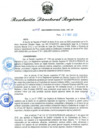 Vista preliminar de documento RDR N° 1008-2022
