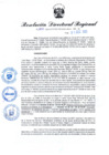 Vista preliminar de documento RDR N° 1010-2022