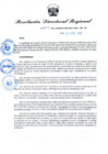Vista preliminar de documento RDR N° 1011-2022