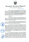 Vista preliminar de documento RDR N° 1015-2022