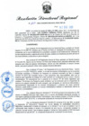 Vista preliminar de documento RDR N° 1017-2022