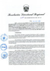 Vista preliminar de documento RDR N° 1019-2022
