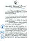 Vista preliminar de documento RDR N° 1020-2022