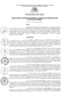 Vista preliminar de documento RESOLUCIÓN DE GERENCIA DE DESARROLLO TERRITORIAL E INFRAESTRUCTURA N° 009-2022-GDTI/GM/MDSA