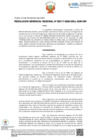 Vista preliminar de documento RGR N° 117 2022 GRLL GGR GRI.pdf