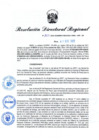 Vista preliminar de documento RDR N° 1025-2022