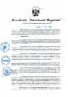 Vista preliminar de documento RDR N° 1028-2022