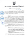 Vista preliminar de documento RDR N° 1031-2022
