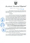 Vista preliminar de documento RDR N° 1032-2022