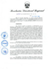 Vista preliminar de documento RDR N° 1034-2022